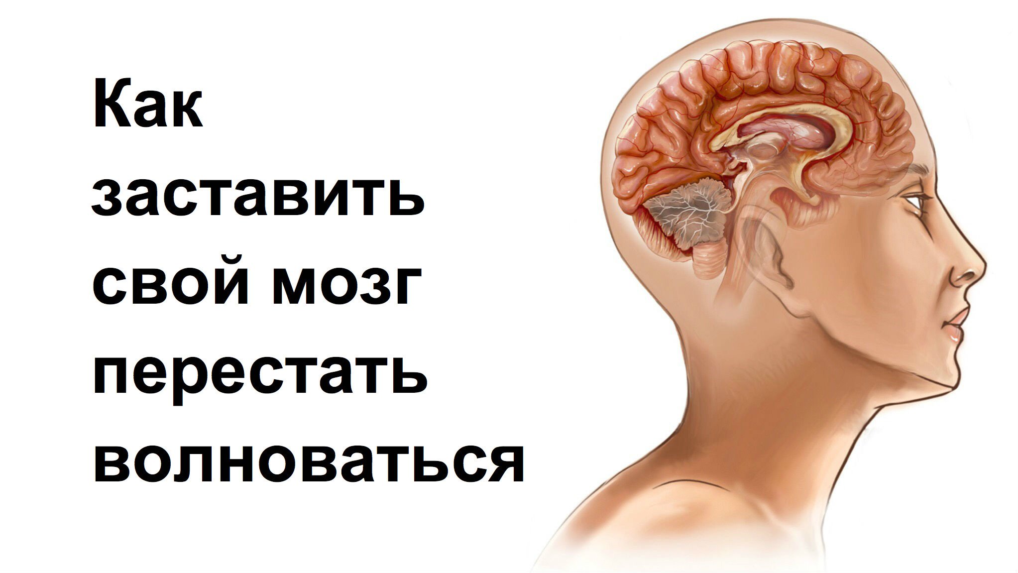 Тревожный мозг читать. Мозг с ушами. Мозг волнуется. Мотивация мозг.